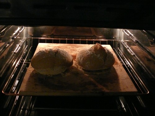 In the oven