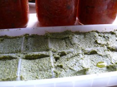 Pesto Cubes