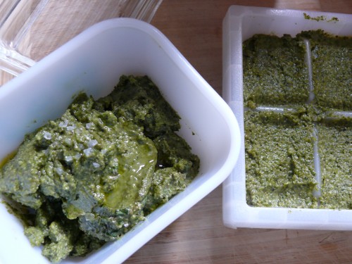 Winter Pesto