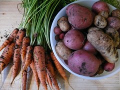 Taters and Carrots